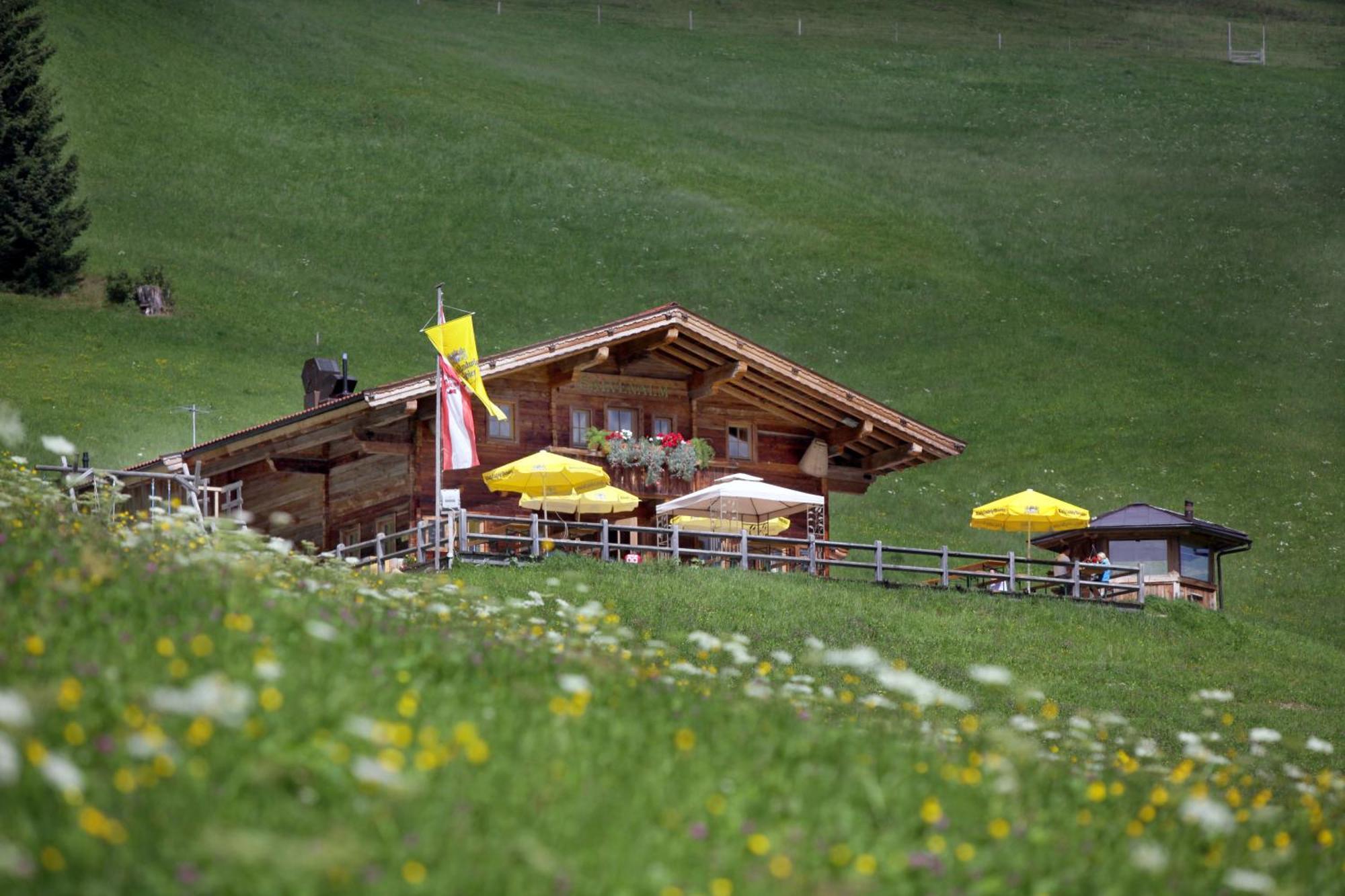 Salvenalm Villa Hopfgarten im Brixental Kültér fotó